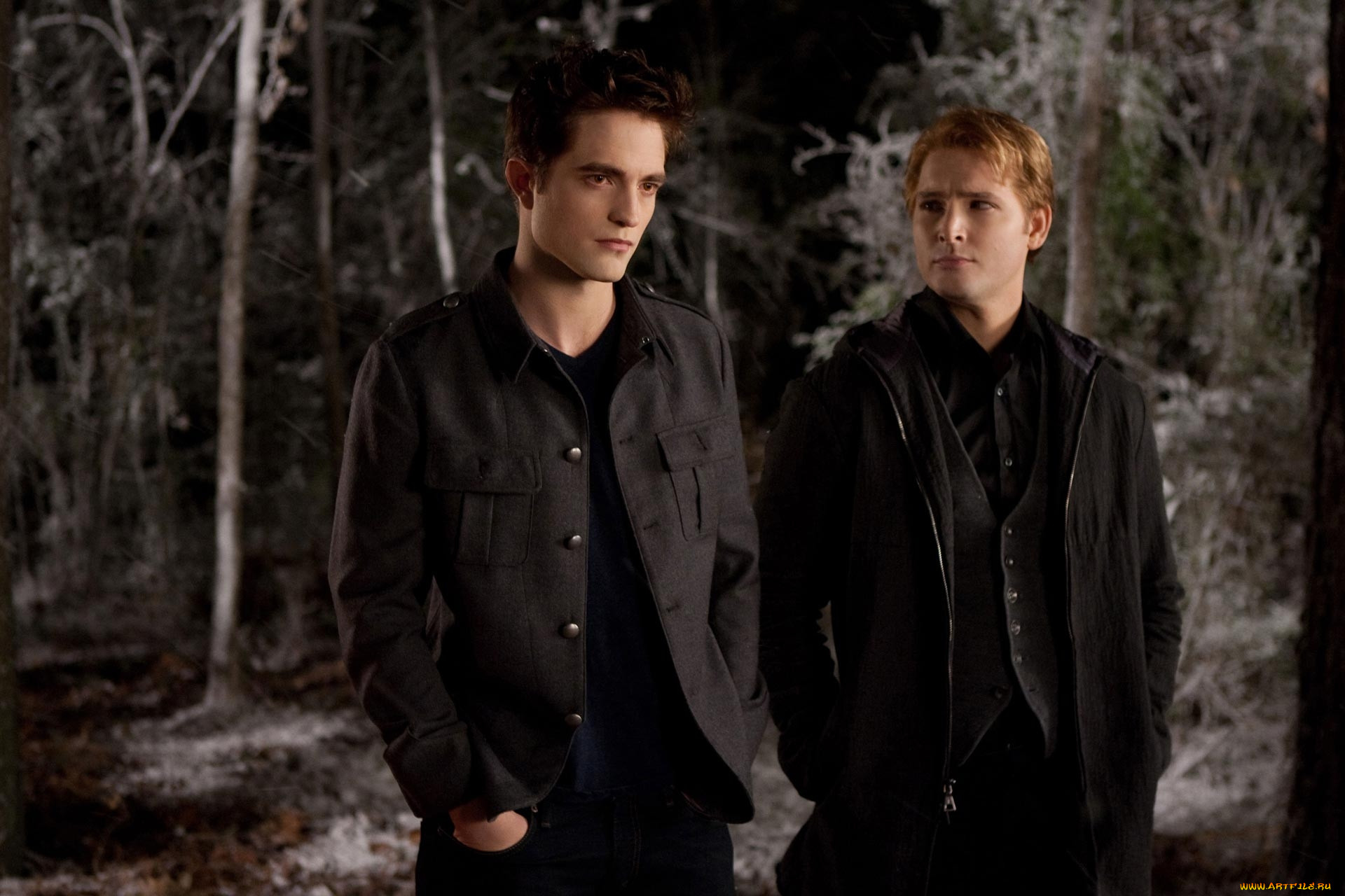  , the twilight saga,  breaking dawn part 2, , 